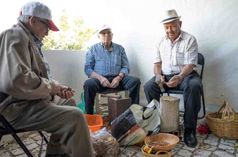 Música, gastronomia e divulgação de saberes marcam «A Nossa Cultura Sai à Rua» na Mexilhoeira Grande, marcada para dia 7 de outubro.