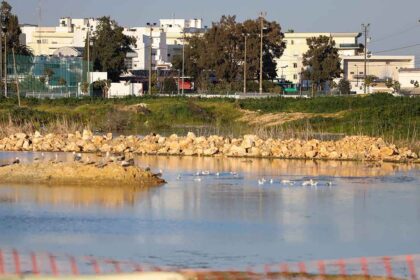 Movimento Salvar as Alagoas Brancas diz que a Câmara Municipal de Lagoa pode anular o loteamento a custo zero, sem qualquer indemnização ao promotor.