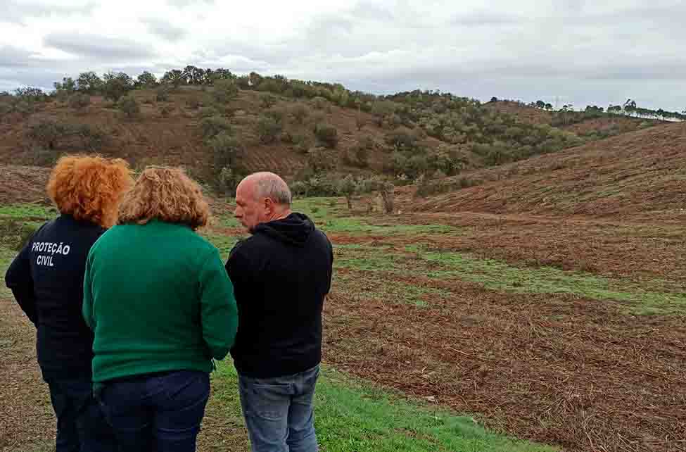 O Programa REACT-EU permitiu reflorestar uma área de 147 hectares na freguesia do Ameixial, num investimento de quase 750 mil euros.