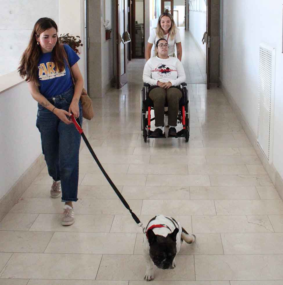 Três cães da Animal Rescue Algarve, acompanhados por uma equipa da associação, visitaram centenas de alunos da Secundária de Loulé.
