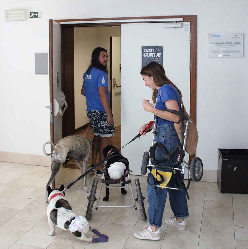 Três cães da Animal Rescue Algarve, acompanhados por uma equipa da associação, visitaram centenas de alunos da Secundária de Loulé.
