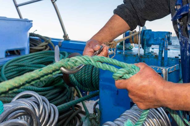 Secretária de Estado das Pescas, Câmara de Lagos e representantes da pesca e turismo debateram instalação de aquacultura ao largo da Ponta da Piedade.