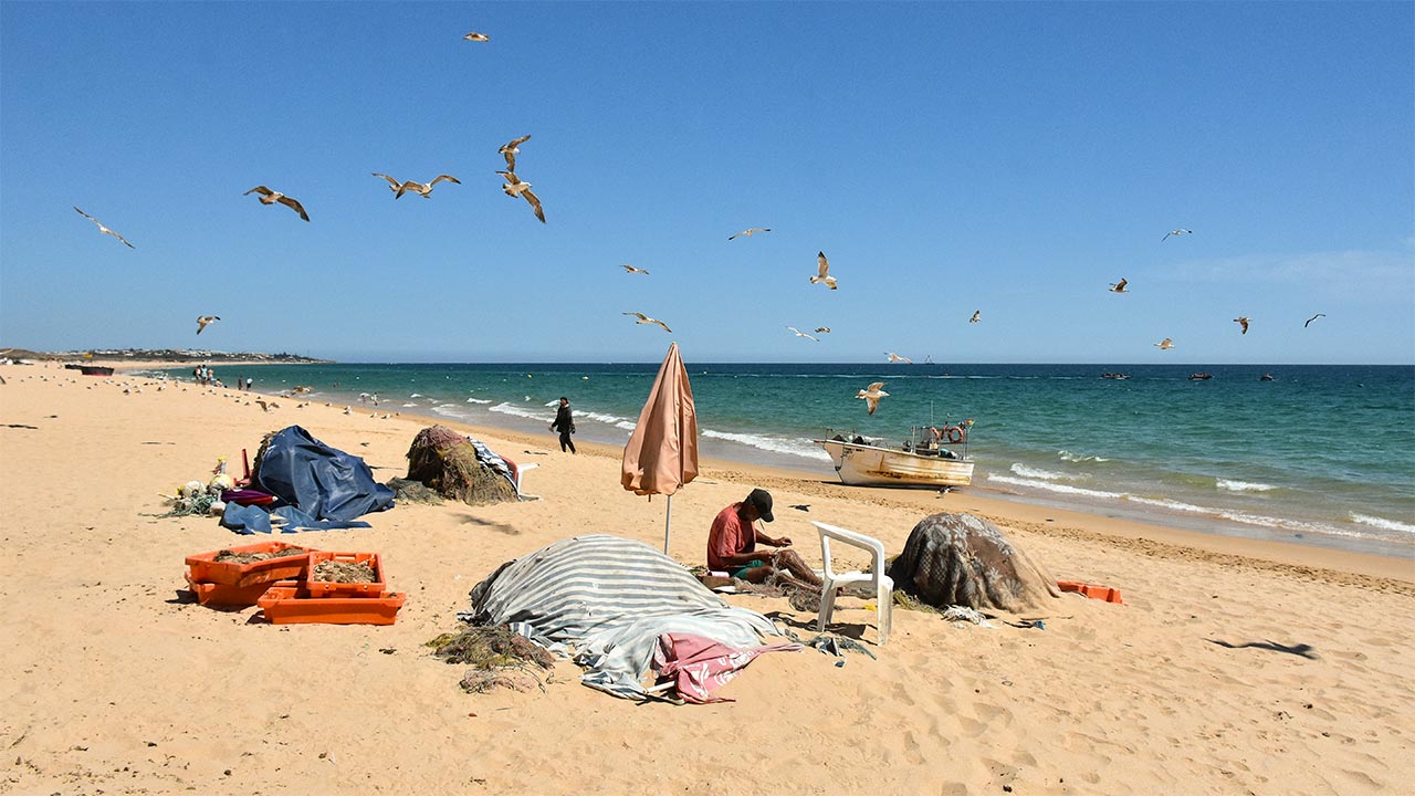 COP28: ministro do Ambiente e da Ação Climática defendeu um consenso para que área marinha protegida do Algarve seja replicada.