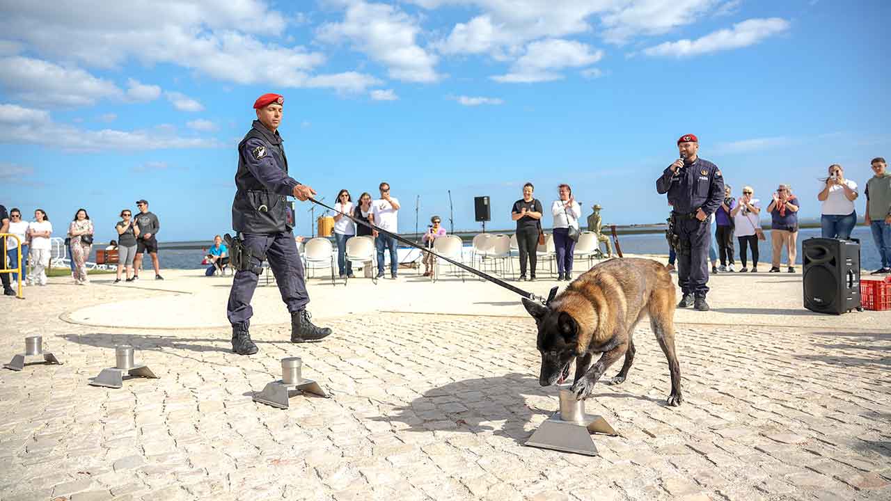 A campanha de adoção animal que, em simultâneo, também recolheu alimentos a reverter para as associações do concelho, «saldou-se num êxito».