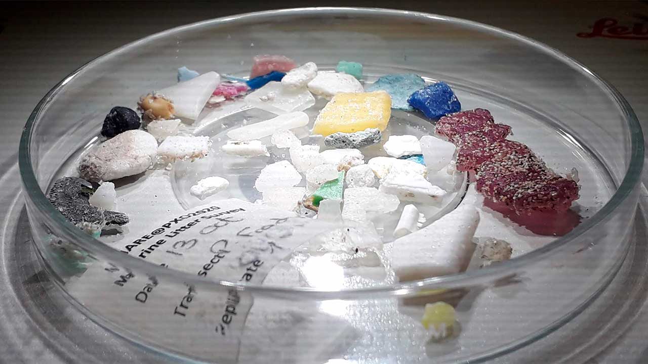 Fotograf’Arte é uma exposição de fotografia sobre o lixo marinho, promovido pelo Centro Ciência Viva de Lagos.