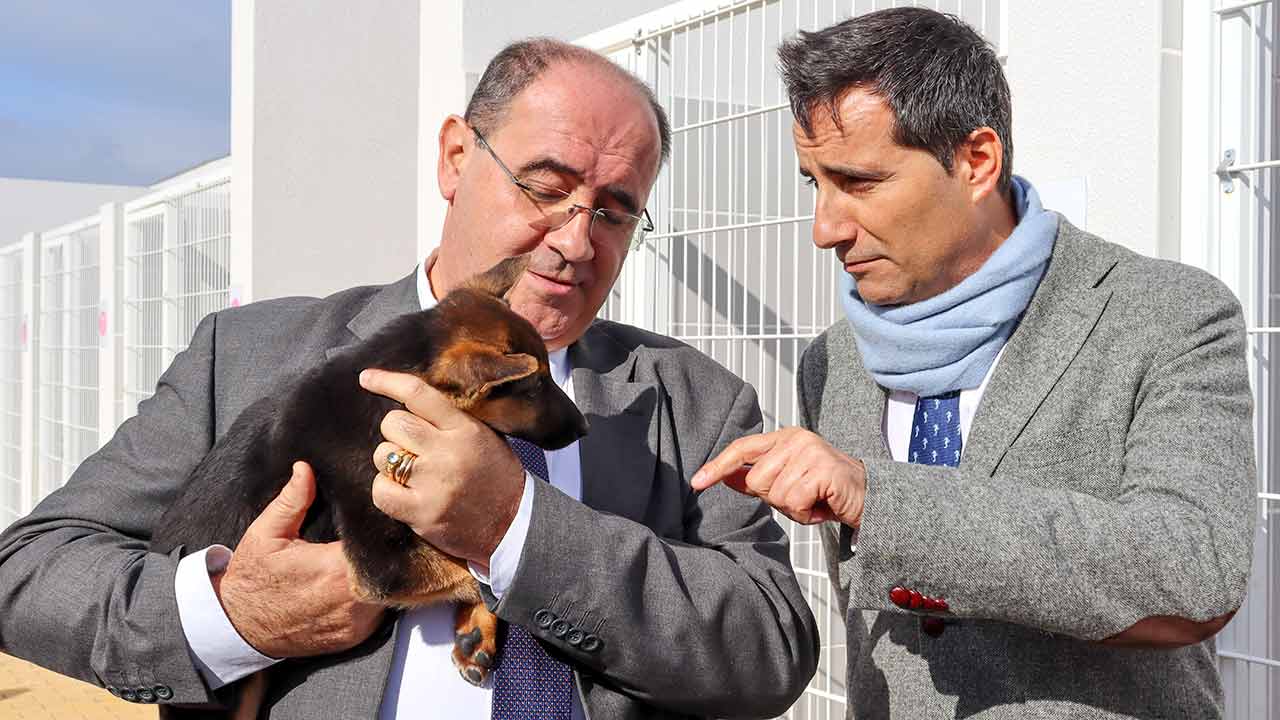 O Centro Oficial de Recolha de Animais de Faro, localizado no Guilhim, tem capacidade para 120 cães e 70 gatos.
