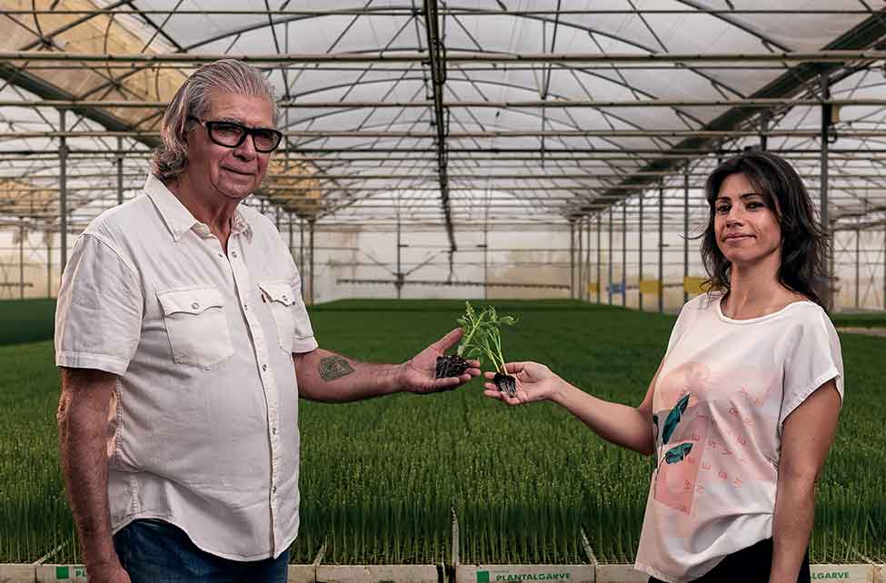 A mostra coletiva ao ar livre,«Created in Faro», localiza-se na baixa, é organizada pela ALFA e dá a conhecer o que é produzido no concelho.