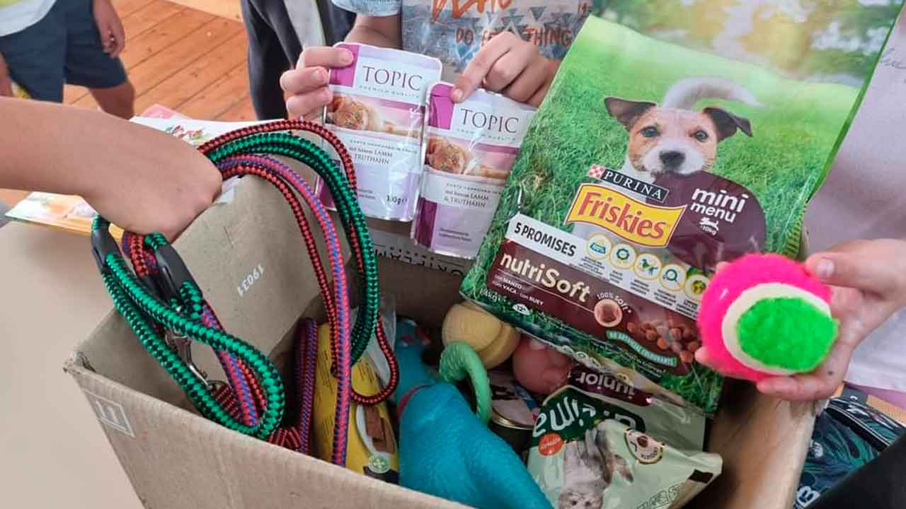 Crianças das escolas de Almancil com protocolo com a ARA têm vindo a colaborar em vários projetos ligados ao bem-estar dos animais do concelho de Loulé.