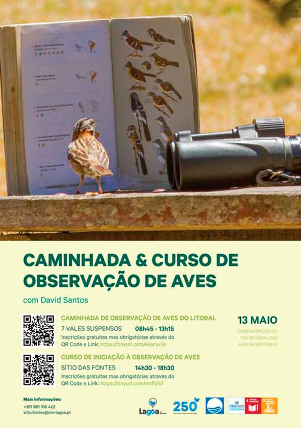 O Dia Mundial das Aves Migratórias vai ser celebrado no município de Lagoa com uma caminhada de observação e um curso de birwatching.