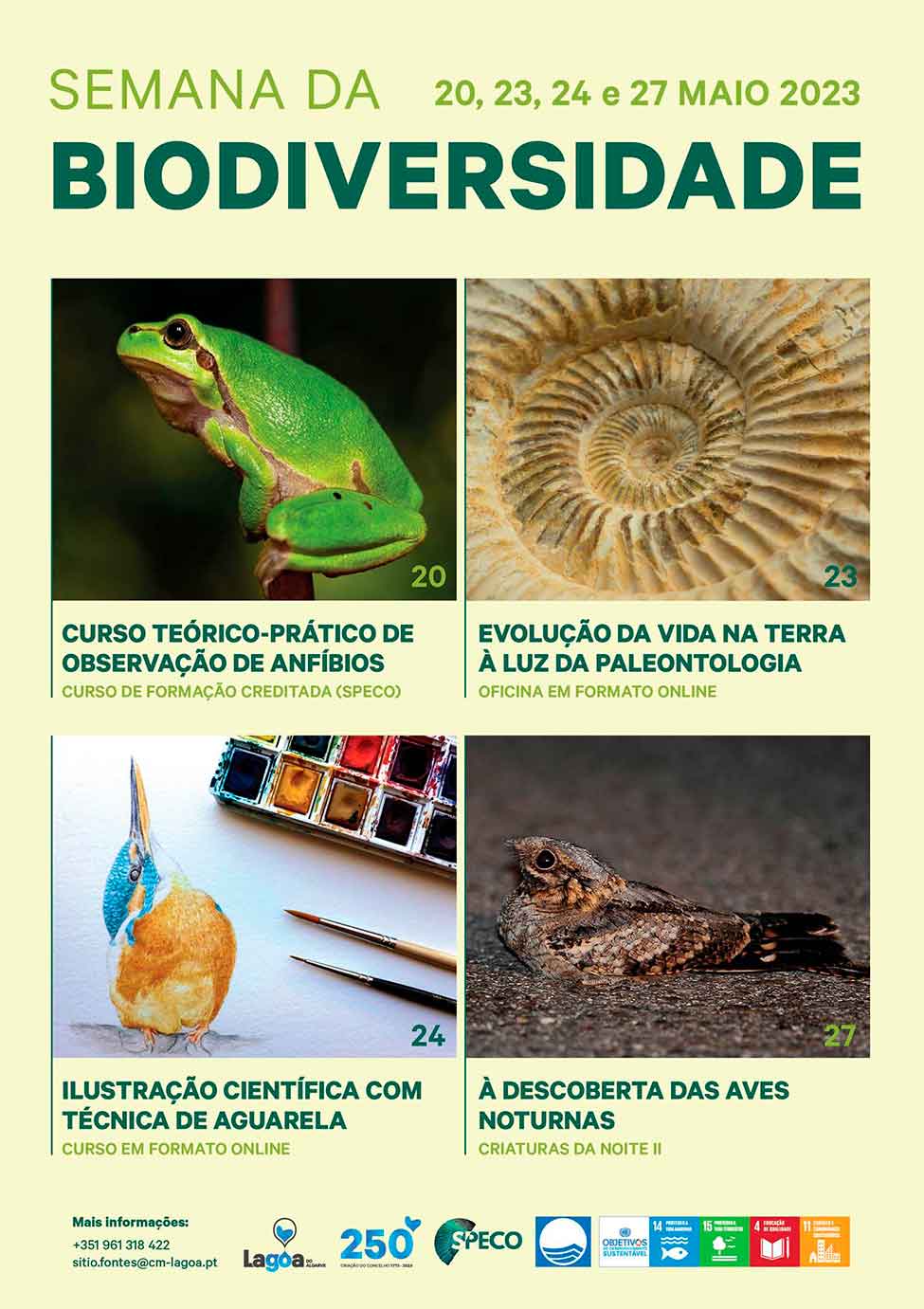 O Dia da Biodiversidade vai celebrar-se em Lagoa ao longo de uma semana com atividades de educação ambiental online e presenciais.