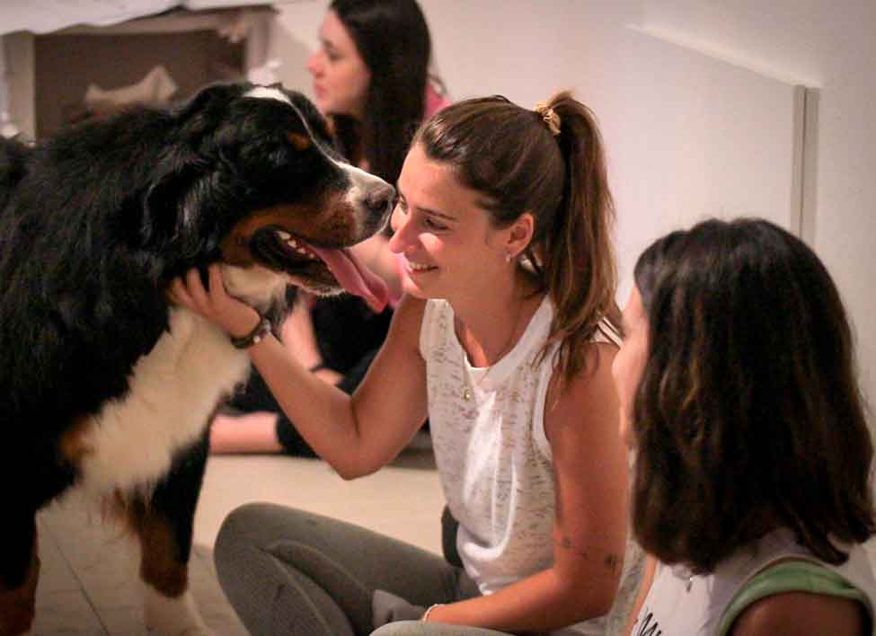 Dog-Yoga