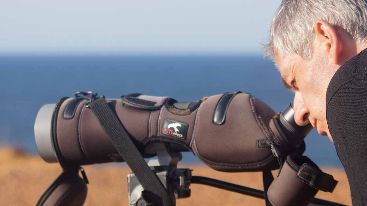 Festival de Observação de Aves & Atividades de Natureza começa amanhã em Sagres, com mais de 200 atividades.