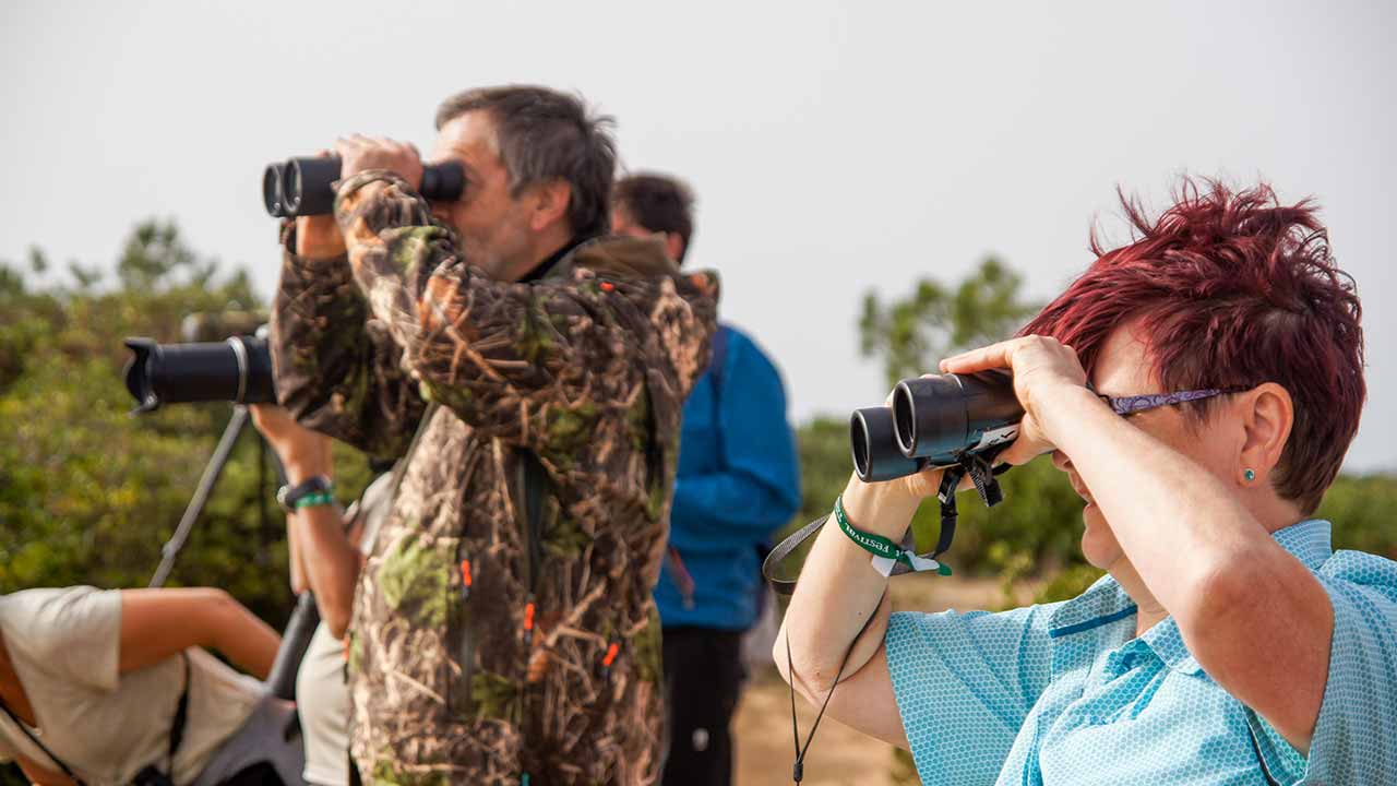 Festival de Observação de Aves & Atividades de Natureza começa amanhã em Sagres, com mais de 200 atividades.