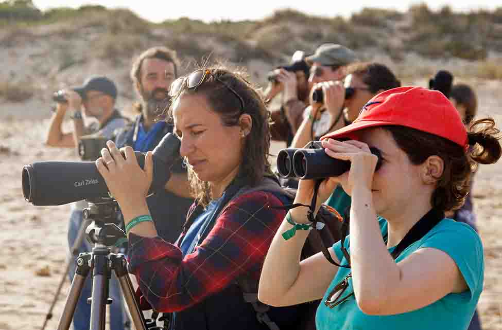 O 14º Festival de Observação de Aves & Atividades de Natureza, de 5 a 8 de outubro, destaca o rabirruivo-de-testa-branca em Sagres.