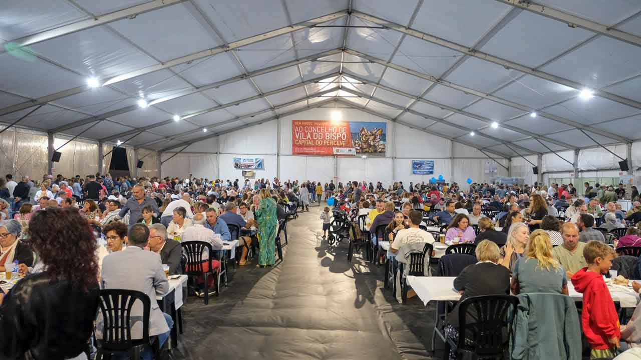 O Festival do Perceve, que decorreu de 1 a 3 de setembro, recebeu mais de 8 mil visitantes, no concelho de Vila do Bispo.