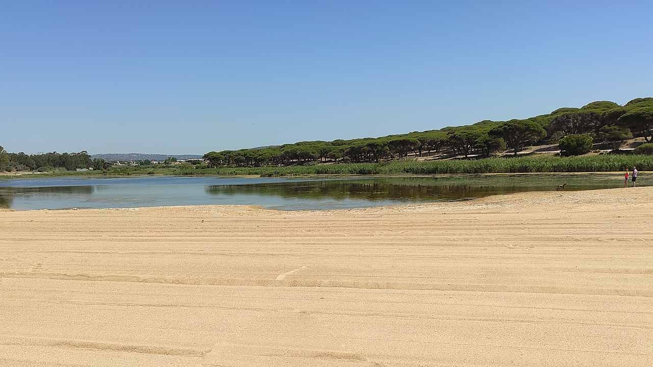 Câmara Municipal de Loulé aprova intenção de criação da Reserva Natural Local da Foz do Almargem e do Trafal.