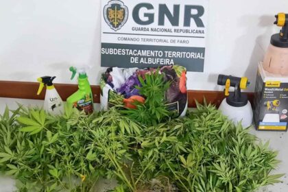 GNR detém nove homens por tráfico de droga em Albufeira. Foram apreendidas centenas de doses de cocaína e haxixe.