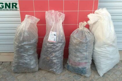 Comando Territorial de Faro da Guarda Nacional Republicana (GNR), através do Posto Territorial de Salir, ontem, dia 7 de outubro, apreendeu 40 quilos de alfarroba e identificou um homem de 46 anos, por furto de produtos agrícolas, na localidade de Alte, no concelho de Loulé.