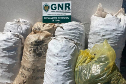 GNR Tavira - Alfarroba