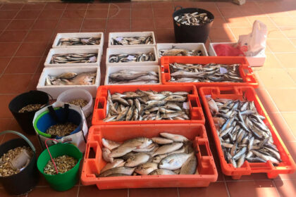 GNR pescado e bivalves Quarteira