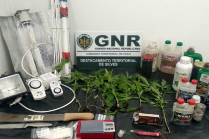 GNR apreende canábis em Lagoa