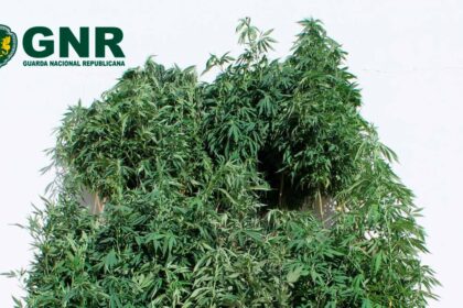 GNR detém mulher em Castro Marim