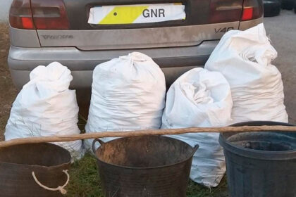 GNR - Furto de Alfarroba em Silves