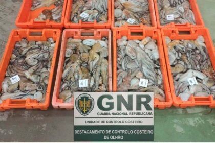 GNR Apreensão