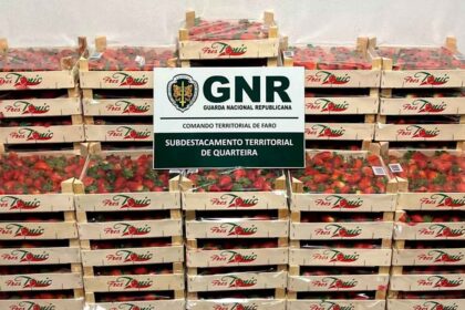 A GNR de Quarteira apreendeu centenas de quilos de fruta e identificou três homens e uma mulher por falta de licenciamento de venda ambulante.