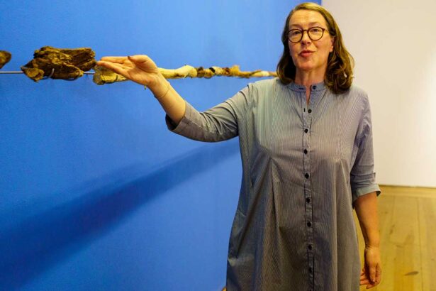«A Natureza detesta Linhas Rectas» é o nome da exposição de Gabriela Albergaria que inaugurou ontem, sábado, 14 de maio, no Museu Municipal de Tavira - Palácio da Galeria. 