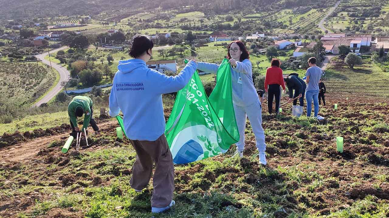 O Grupo Parlamentar Europeu financiou uma ação de reflorestação em Alte, com 86 novos medronheiros e 58 alfarrobeiras, numa área de 5852 m2.