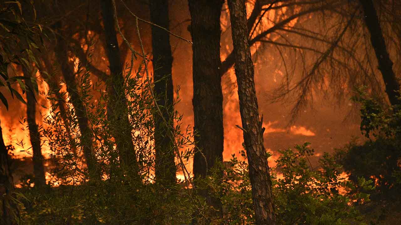 A Proteção Civil alertou hoje para o risco de incêndio «muito elevado e máximo» no Algarve, Centro, Lisboa, Vale do Tejo e Médio Tejo.