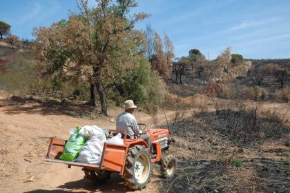 Última época de incêndios rurais em Loulé totalizou uma área ardida de 12 hectares, uma das menores no território, desde 2004.