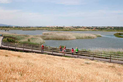 Lagoa dos Salgados - Albufeira