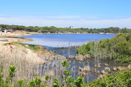 O município de Loulé é um dos signatários do Acordo «Cidade Verde», tendo sido esta terça-feira, 21 de setembro, confirmada a adesão formal da autarquia a este movimento europeu.