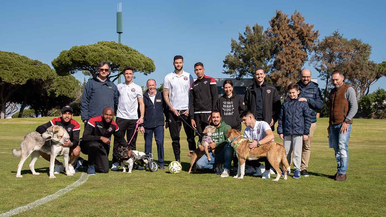 A equipa de futebol do Louletano realizou um treino com a companhia de alguns dos cães resgatados da ARA, abrigo de Loulé que já realojou mais de 900 animais.