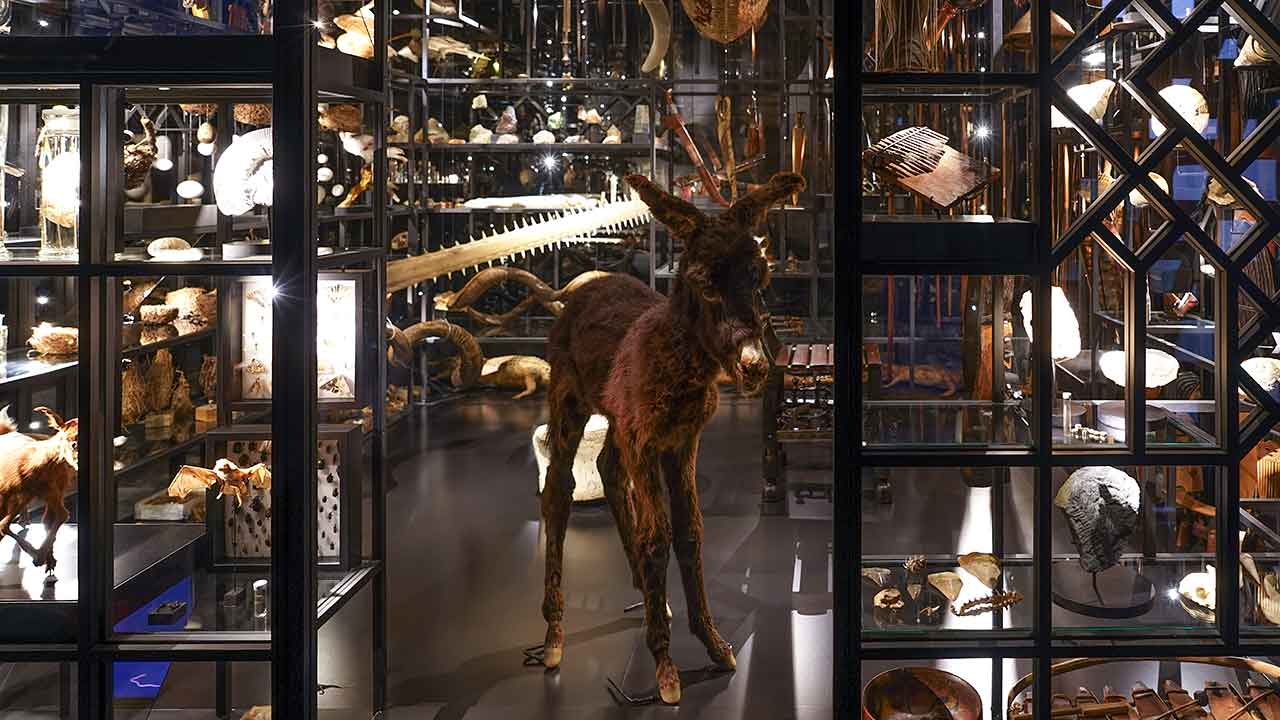 O Museu de Lagos celebra o Dia Internacional dos Museus, com atividades gratuitas e abertas ao público nos dias 18 e 19 de maio.