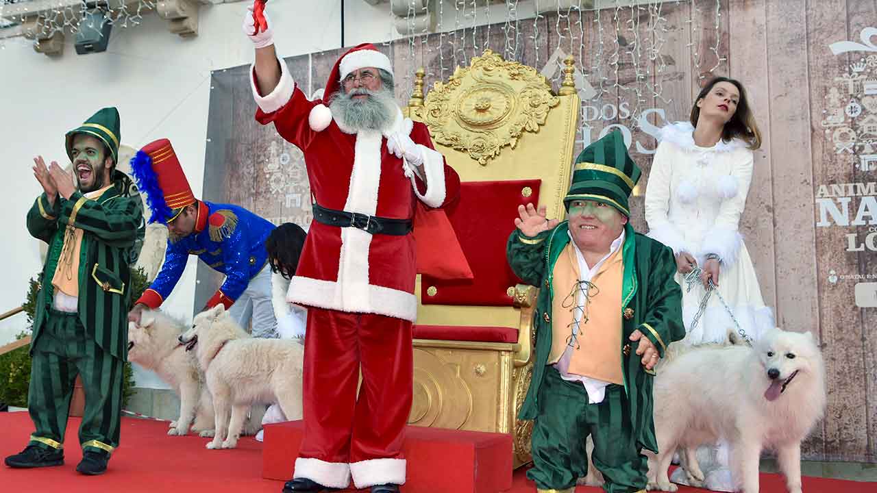 A animação de Natal está a poucos dias de arrancar no concelho de Loulé com muita animação, tradição e sustentabilidade.