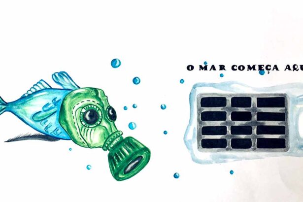 Numa parceria com a ABAE – Associação Bandeira Azul da Europa, a Água do Algarve apoia o projeto «O Mar Começa Aqui». Objetivo é desafiar as Eco-escolas da região (e do país) a criar uma pintura original para as sarjetas, de forma a evitar que «tudo vá parar ao mar».
