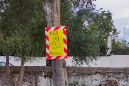 PAN de Vila Real de Santo António (VRSA) solicita uma fiscalização à gestão do arvoredo no concelho. Em causa estão denúncias de cidadãos.