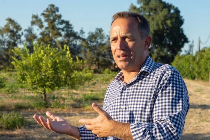 Região tem hoje 1600 hectares de abacateiro, área que poderá ainda vir a aumentar segundo Pedro Valadas Monteiro, diretor regional de Agricultura e Pescas do Algarve. Em entrevista ao barlavento, desdramatiza a diabolização daquela cultura e revela que os empresários do sector se preparam para anunciar, em breve, uma grande infraestrutura dedicada ao processamento da pêra-abacate.