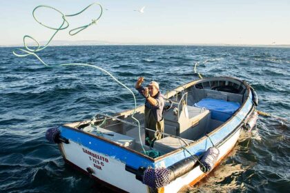 Pesca