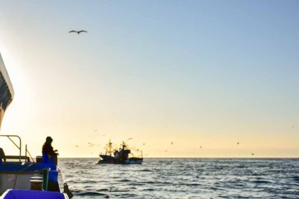 Comissão Europeia prepara medidas específicas para compensar sector das pescas pelo aumento dos preços dos combustíveis.
