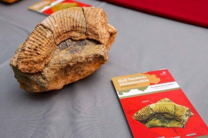 Albufeira apresentou livro sobre o Planalto do Escarpão, editado no âmbito do Algarvensis aspirante a Geoparque Mundial da UNESCO.