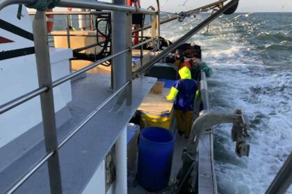 Polícia Marítima apreende 3200 kg de sardinha em Vila Real de Santo António