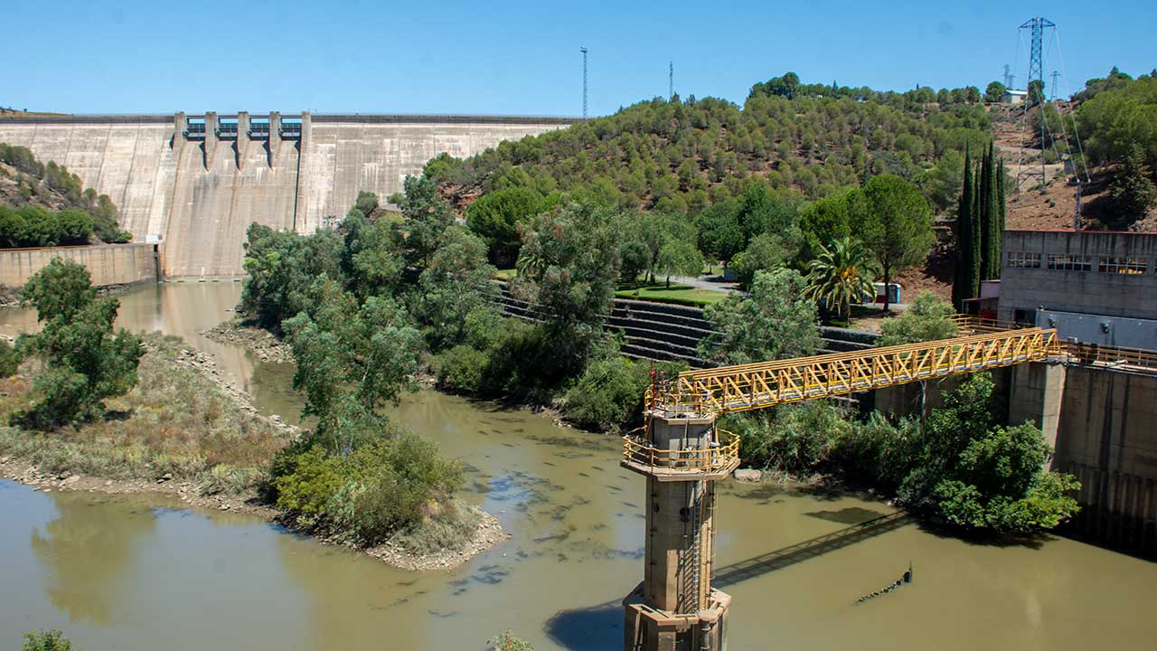 Deputados do PSD Algarve exigem-se «resultados concretos» no combate à seca numa altura em que se vive a pior seca do século.