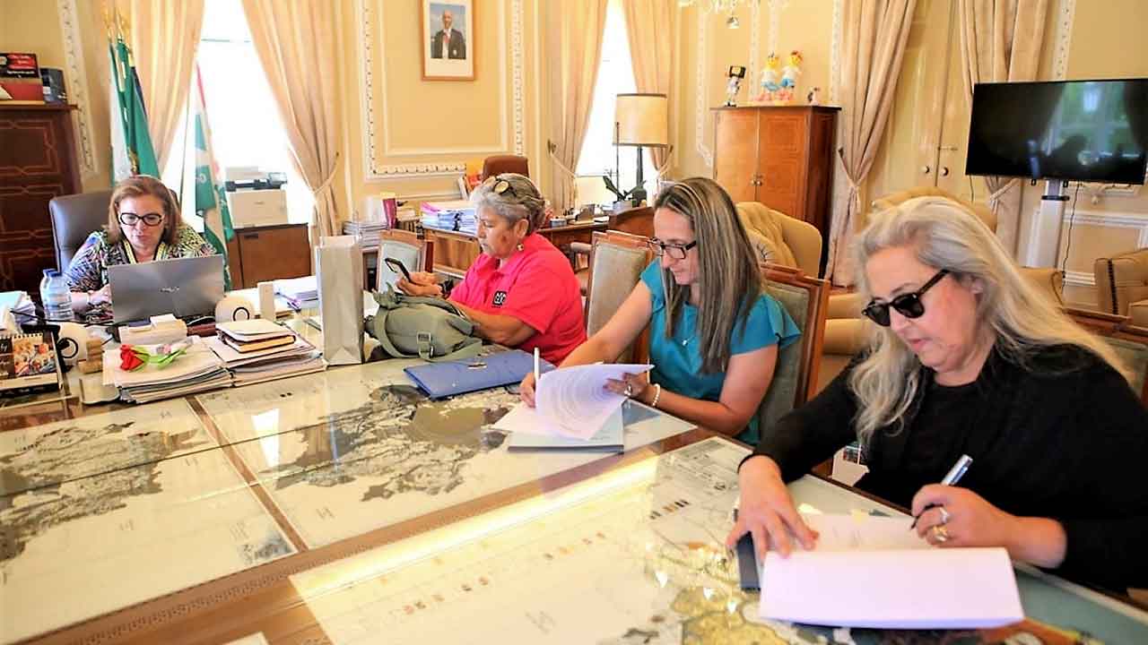 Município de Portimão apoia três associações de dos animais com 40 mil euros para esterilização de cães e gatos de rua.