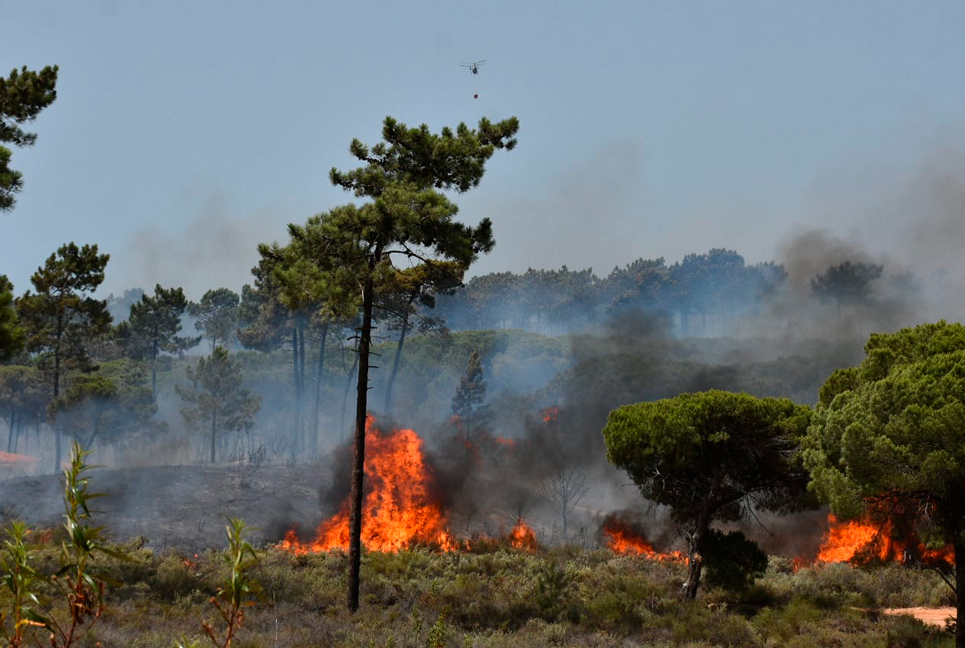 Incêndio - Loulé - Faro
