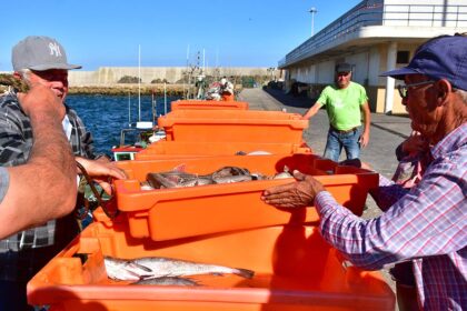 Algarve tem três lotas certificadas: Quarteira, Sagres e Vila Real de Santo António.