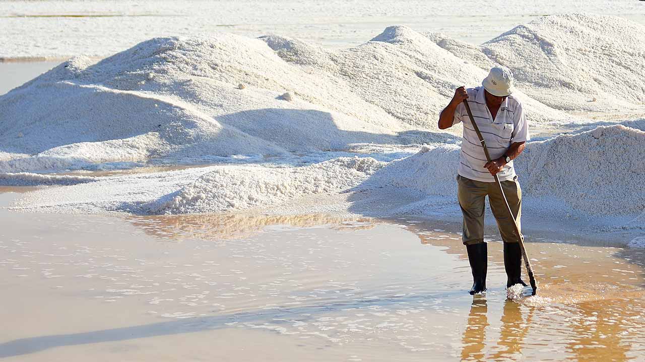 projeto «Sal de Castro Marim à Mesa dos Restaurantes»